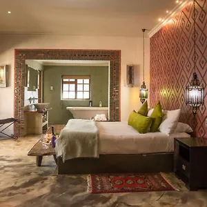 singa-town-lodge.port-elizabeth-hotel.com/